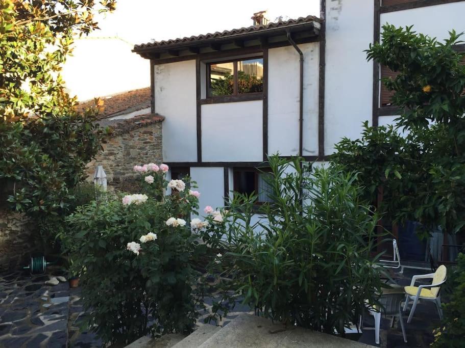 Casa Rural Con Piscina Privada Casar de Palomero المظهر الخارجي الصورة